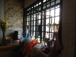 IMG_9569